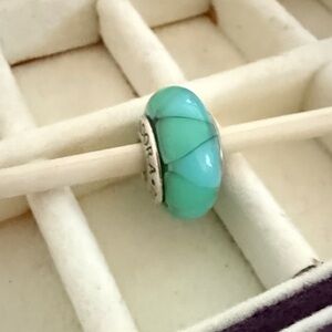 Elegant Turquoise Charm Bead